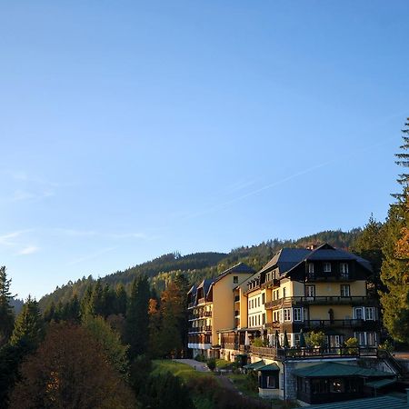 Alpenhotel Goesing Puchenstuben Εξωτερικό φωτογραφία