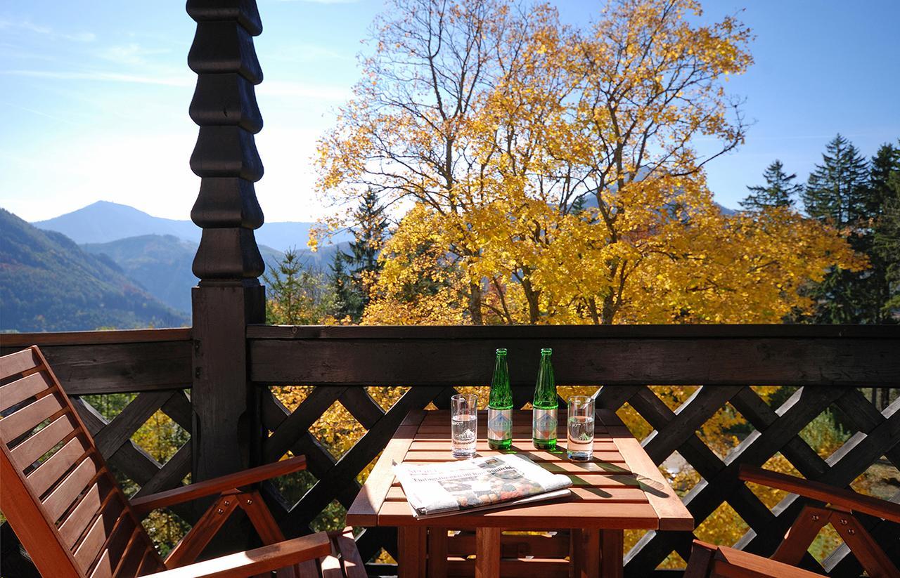 Alpenhotel Goesing Puchenstuben Εξωτερικό φωτογραφία