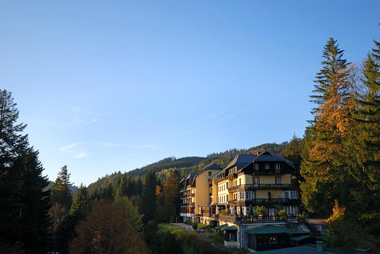 Alpenhotel Goesing Puchenstuben Εξωτερικό φωτογραφία