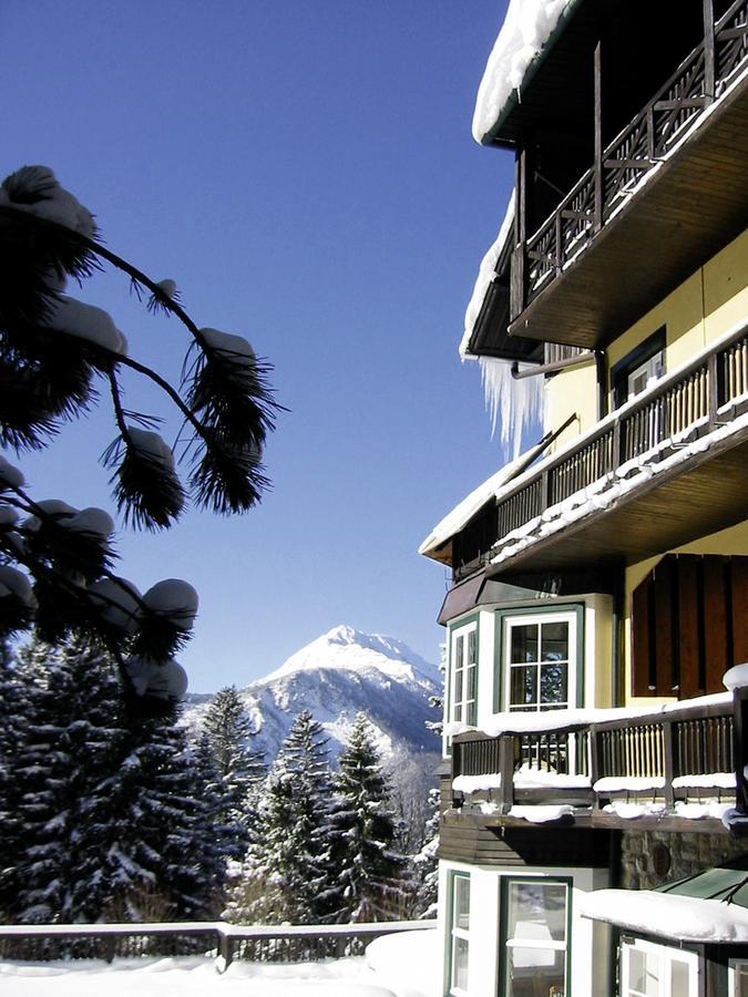 Alpenhotel Goesing Puchenstuben Εξωτερικό φωτογραφία